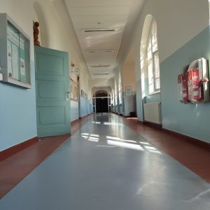 IMG_20230713_092042 IMG_20230713_092042